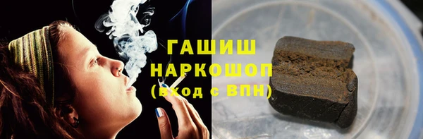 прущие грибы Абинск