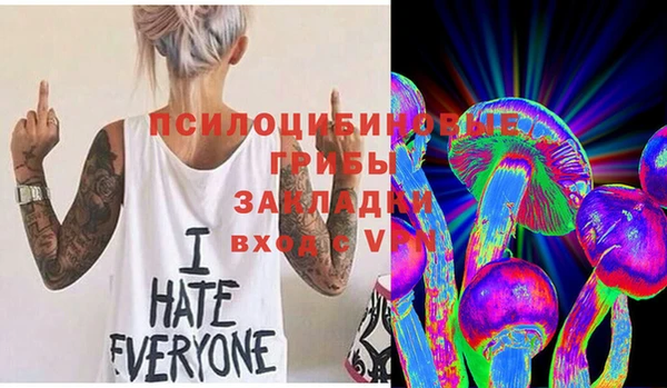 прущая мука Алексин