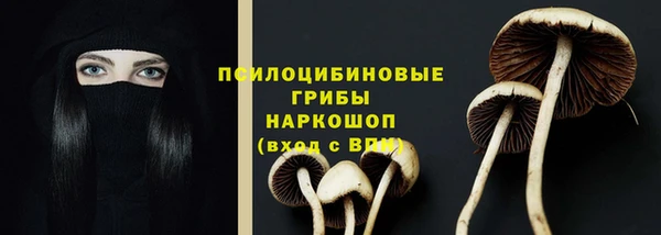 прущая мука Алексин