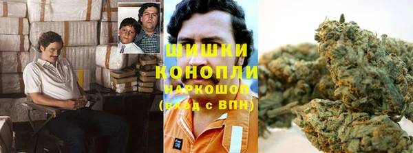 прущие грибы Абинск