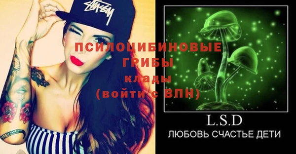 прущие грибы Абинск